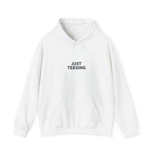 Just Teesing Hoodie — Minimal Graphic Pullover with 'JUST TEESING' Text